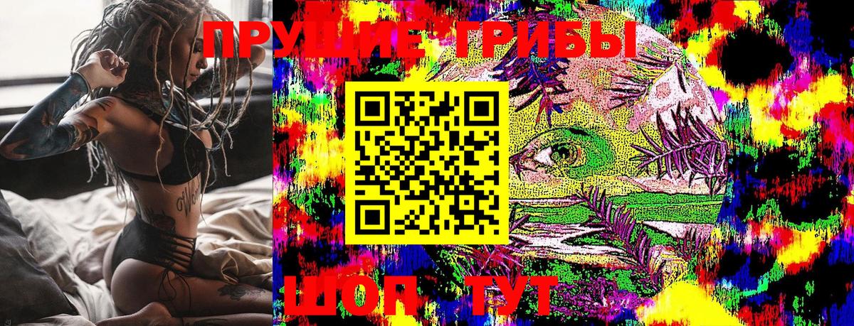 Галлюциногенные грибы MAGIC MUSHROOMS  Псилоцибиновые грибы Psilocybe  Вход с VPN  цена наркотик  Мончегорск 
